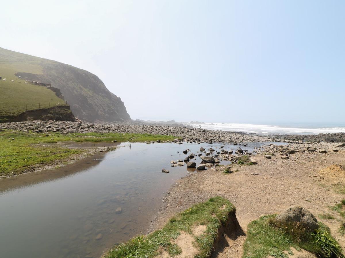 Swallow Cottage Bude Kültér fotó